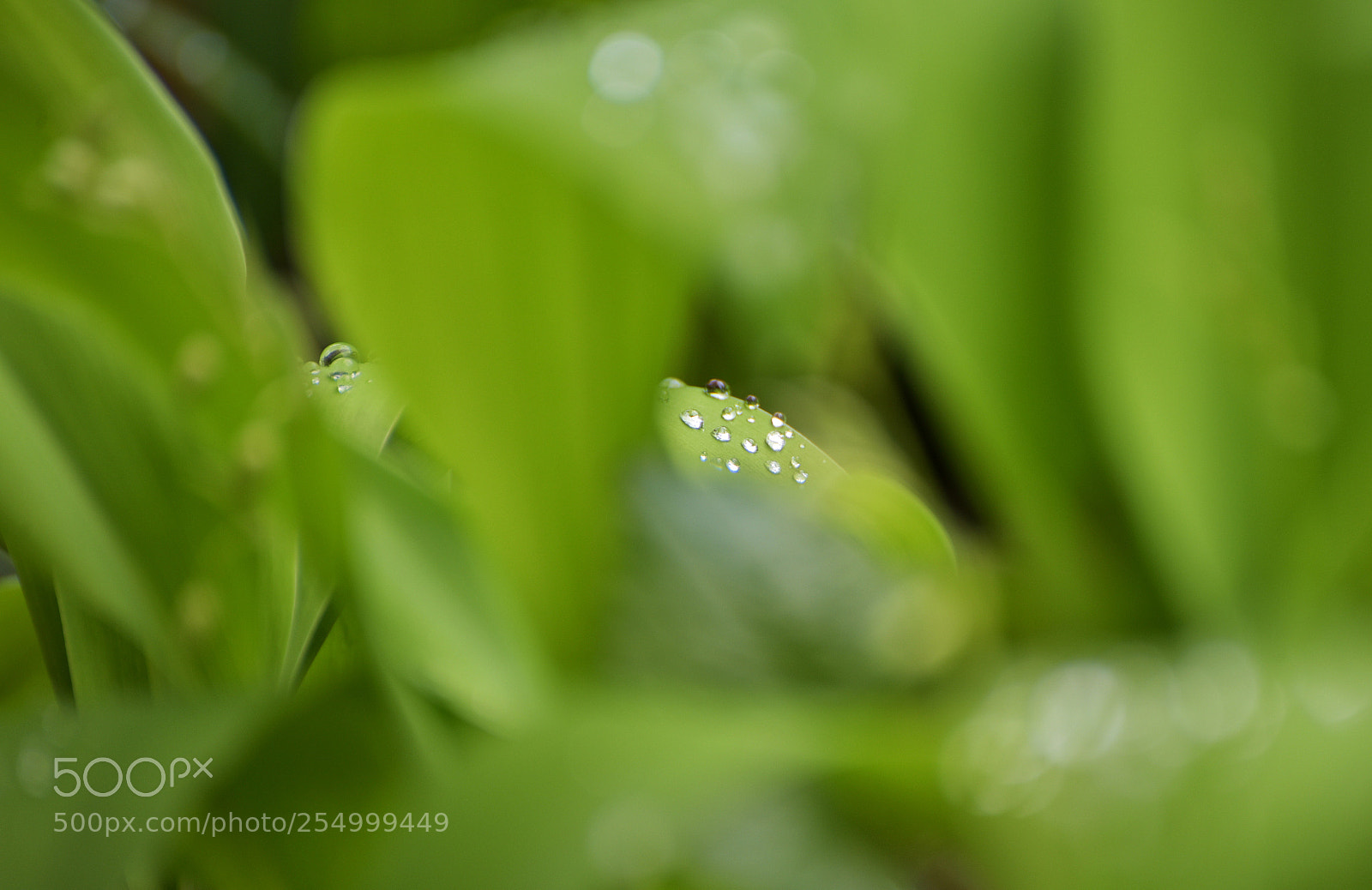 Nikon D810 sample photo. Untitled photography