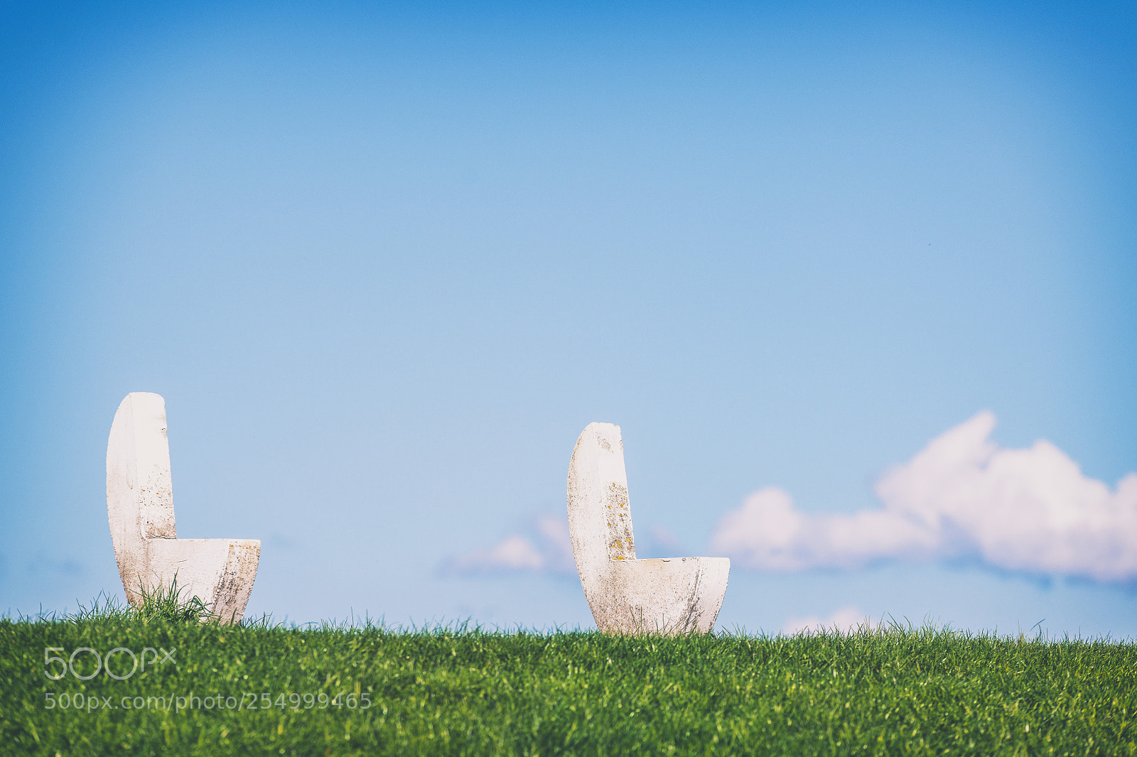 Nikon D850 sample photo. Take a rest photography