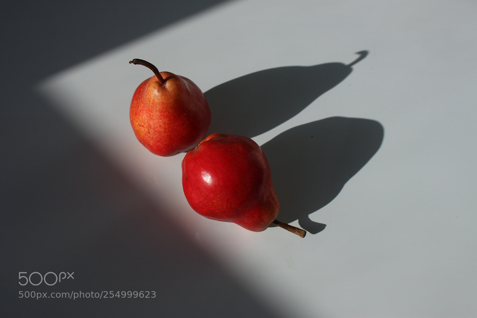 Canon EF-S 18-55mm F3.5-5.6 IS sample photo. Still life with red photography