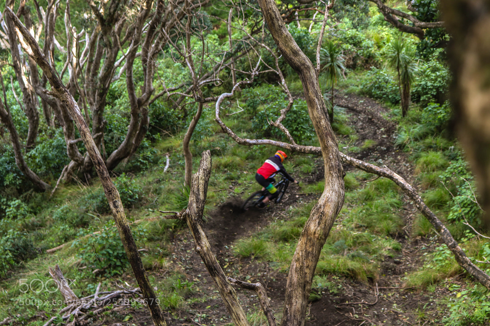 Canon EOS 800D (EOS Rebel T7i / EOS Kiss X9i) sample photo. Josh ripping his local photography