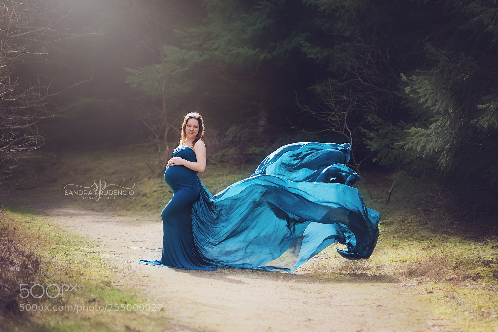 Nikon D800 sample photo. Ssp photography