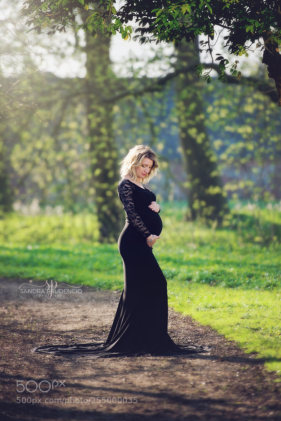 Nikon D800 sample photo. Ssp photography