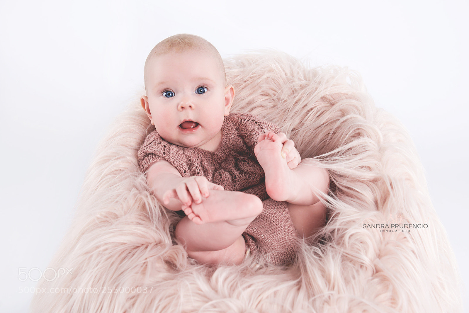 Nikon D800 sample photo. Ssp photography