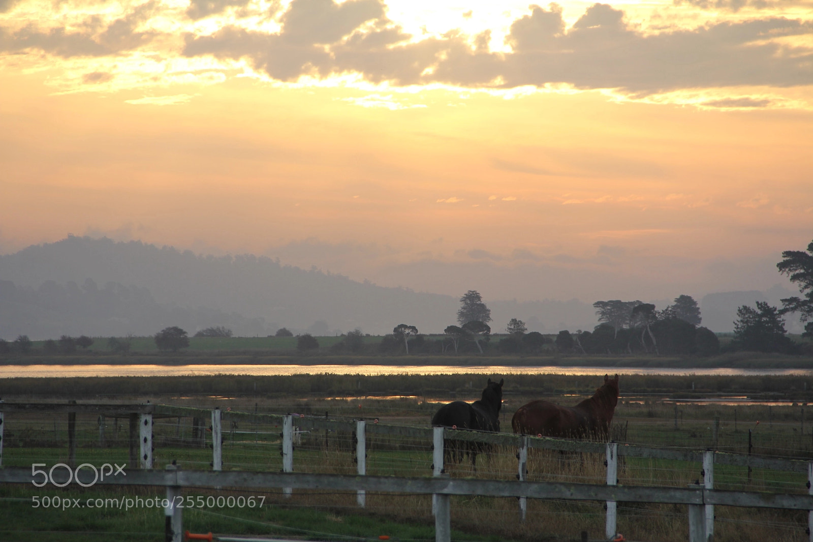 Canon EOS 60D sample photo. Quiet afternoon in legana photography