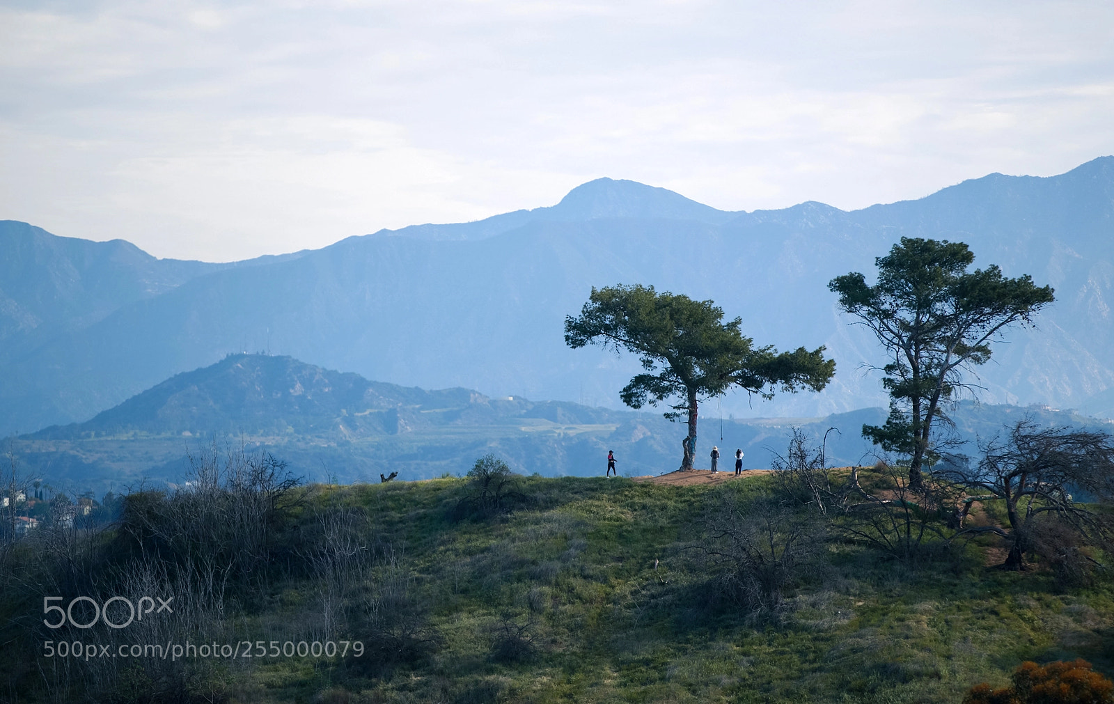 Canon EOS-1D X sample photo. Hq photography