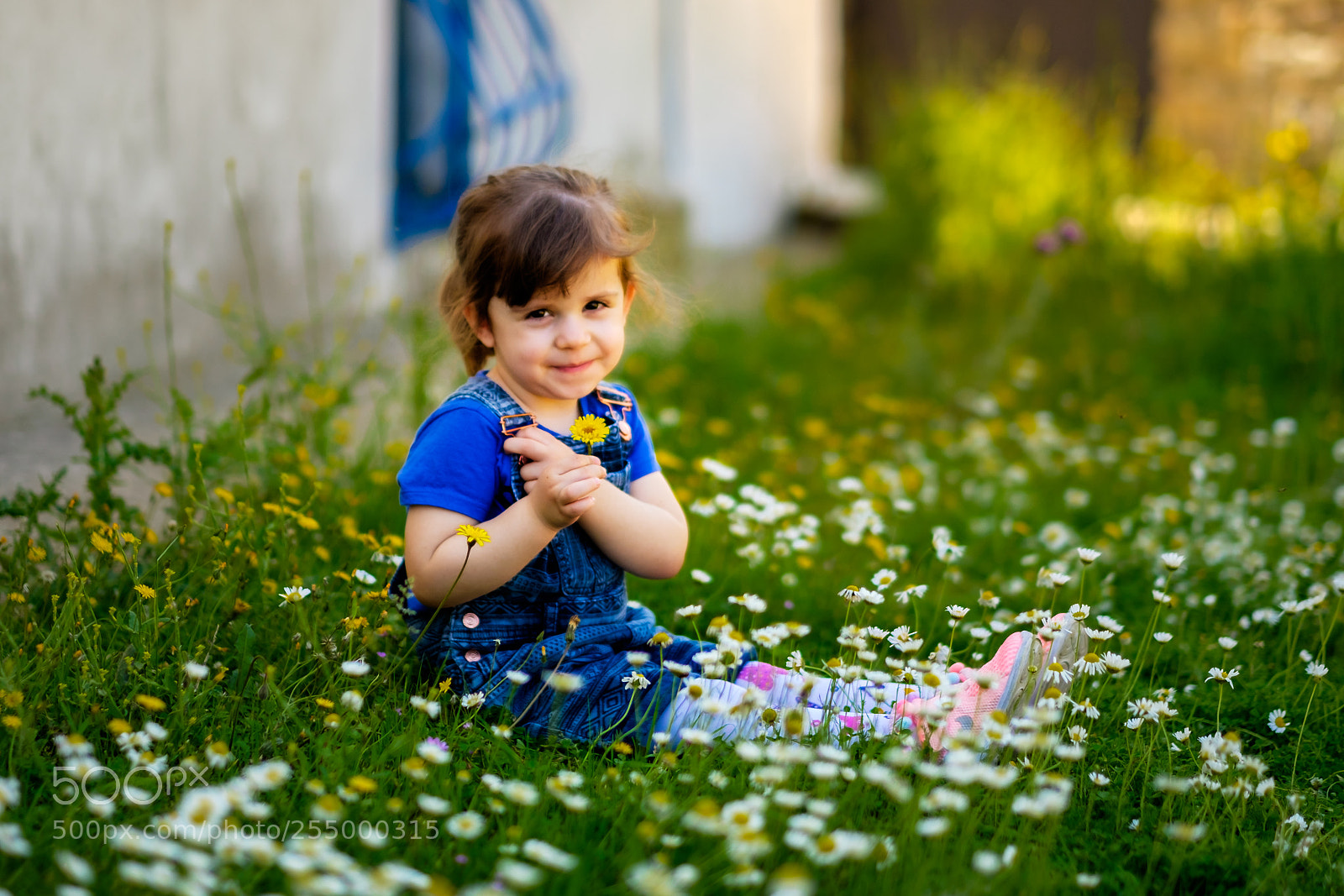 Fujifilm X-T10 sample photo. Flower photography