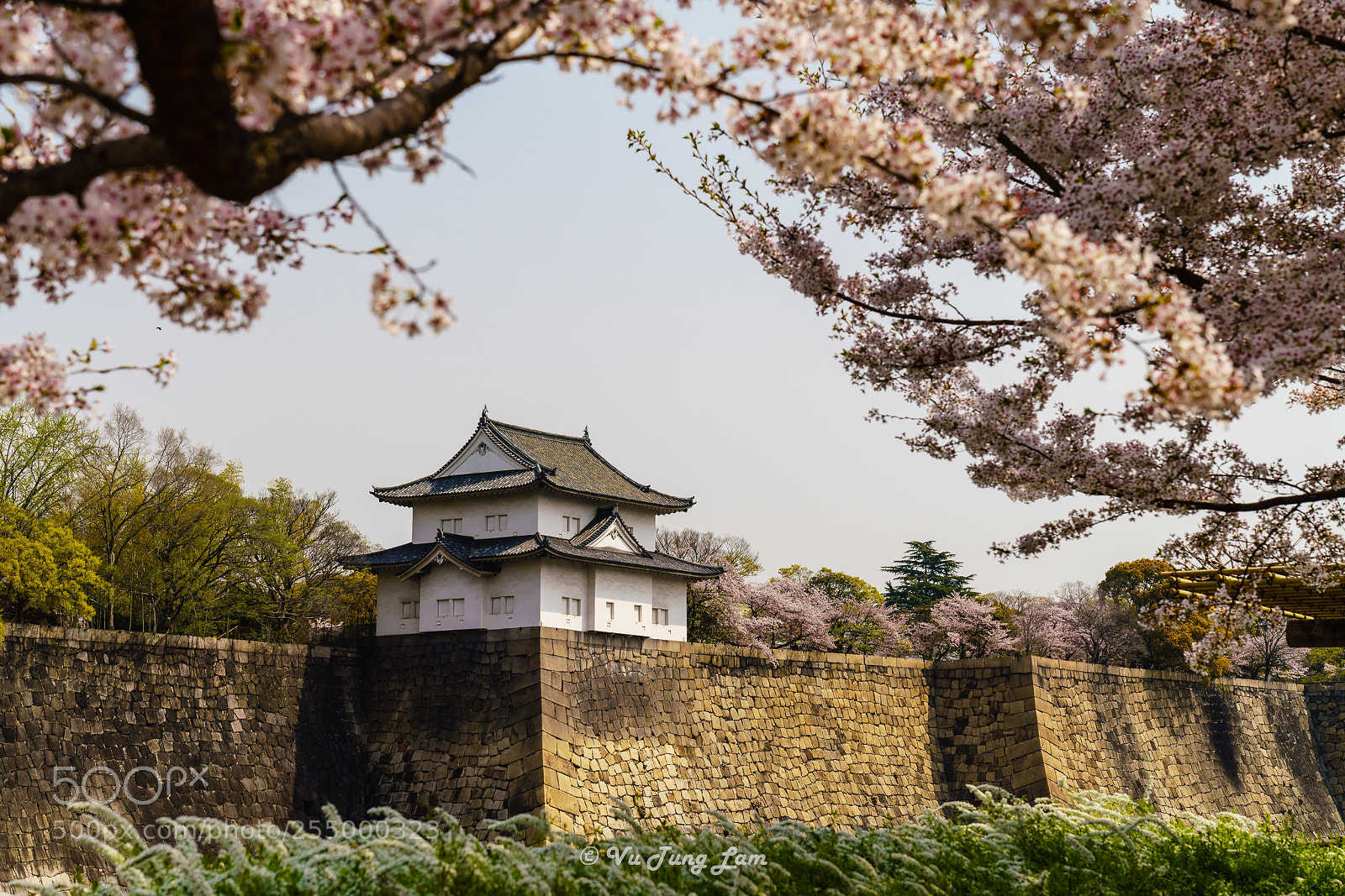 Sony a7R III sample photo. Osaka castle photography