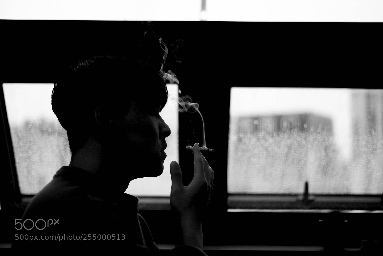 Nikon D800 sample photo. Untitled photography