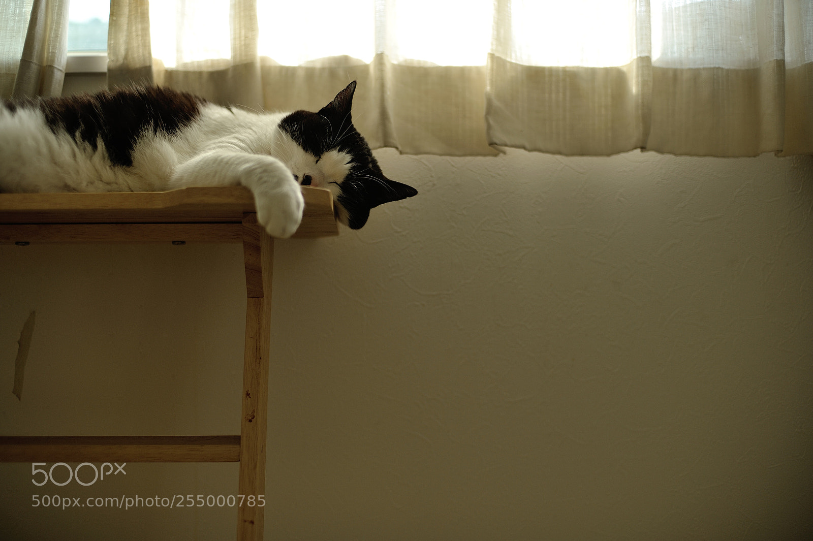 Nikon D700 sample photo. Your place photography