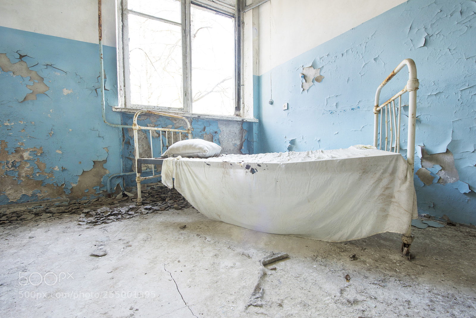 Nikon D810 sample photo. Blue bedroom photography