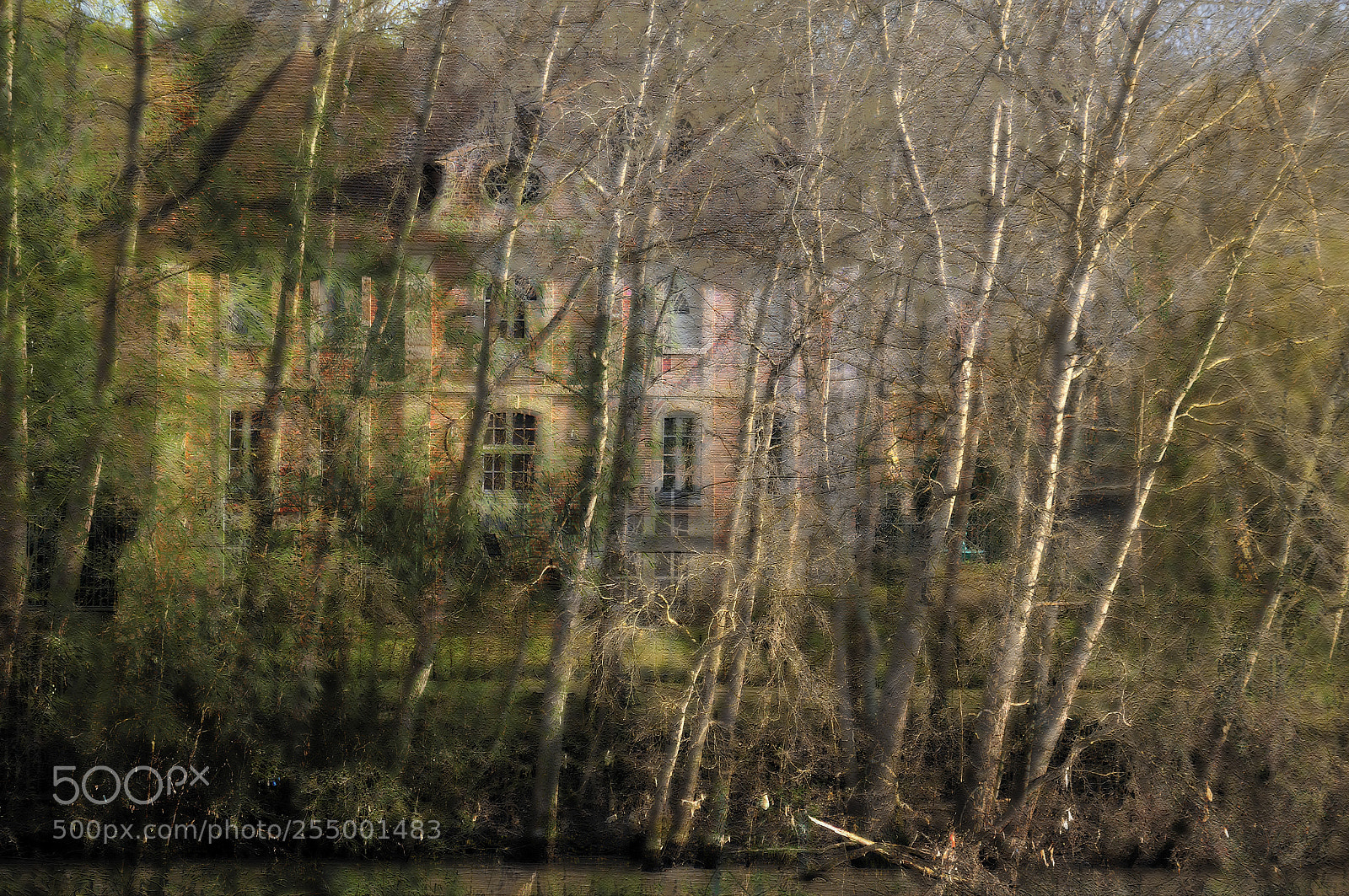 Nikon D300 sample photo. The house under the photography