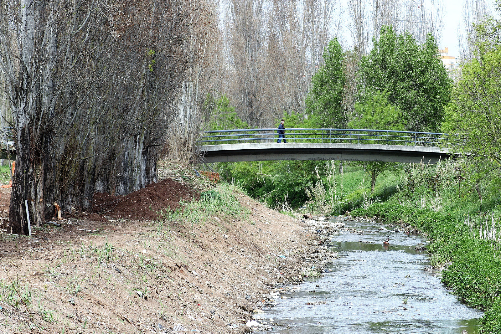 Canon EOS 200D (EOS Rebel SL2 / EOS Kiss X9) sample photo. Crossing the bridge photography