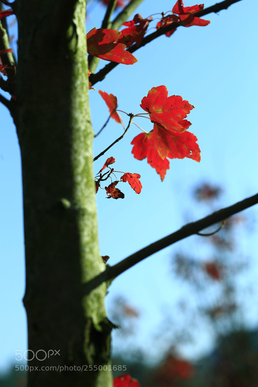 Canon EOS-1D X sample photo. �������������������������������������������������������������������������������������������������... photography