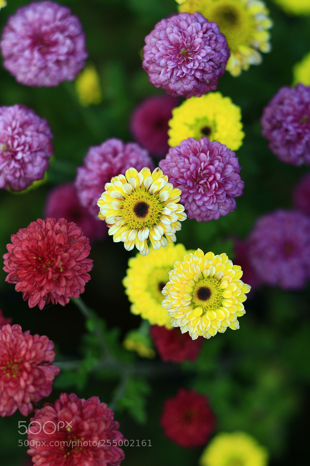 Canon EOS-1D X sample photo. �������������������������������������������������������������������������������������������������... photography