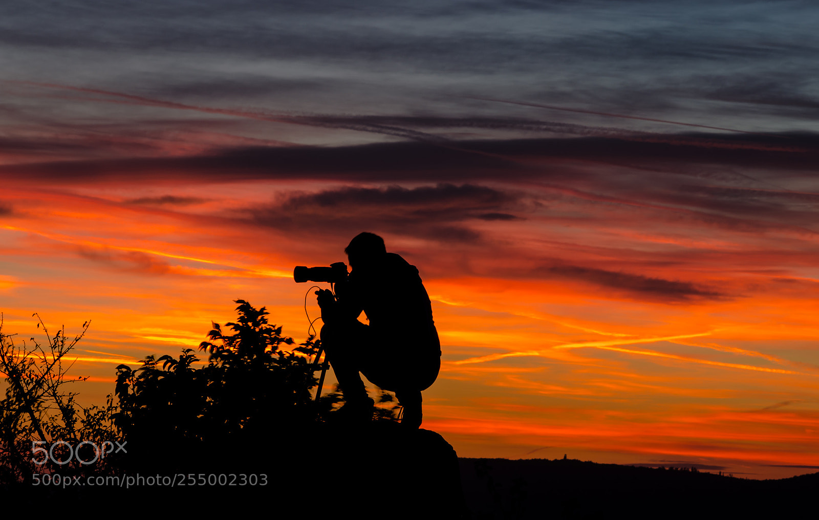 Nikon D5100 sample photo. Photo of the photographer photography