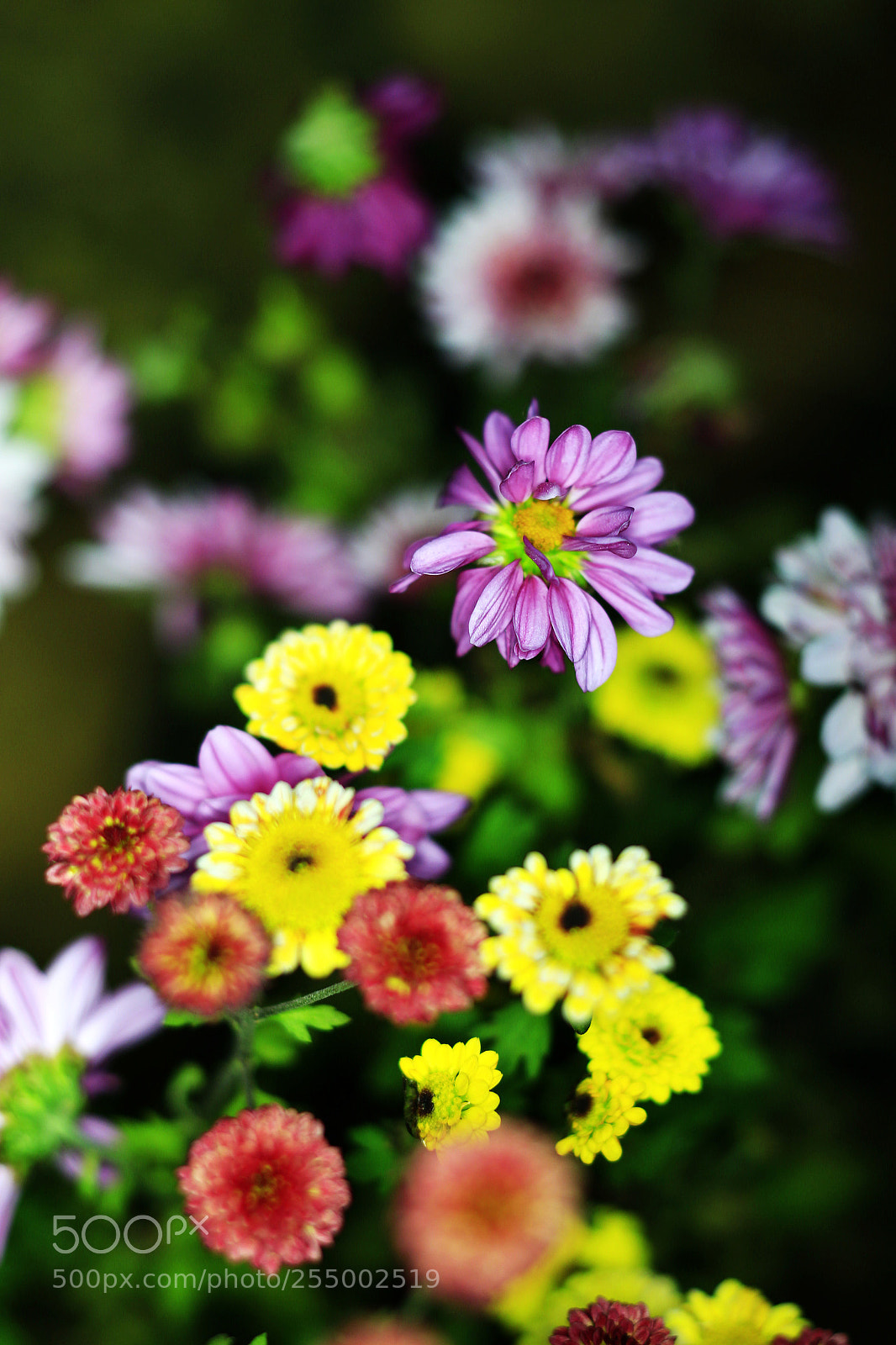 Canon EOS-1D X sample photo. �������������������������������������������������������������������������������������������������... photography