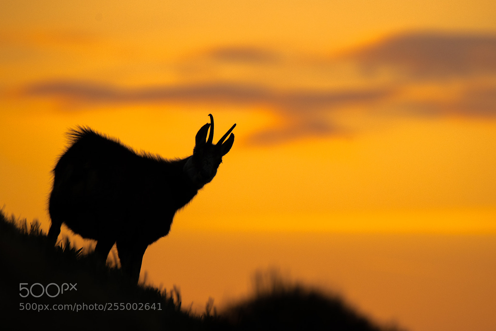 Nikon D850 sample photo. Sunset photography