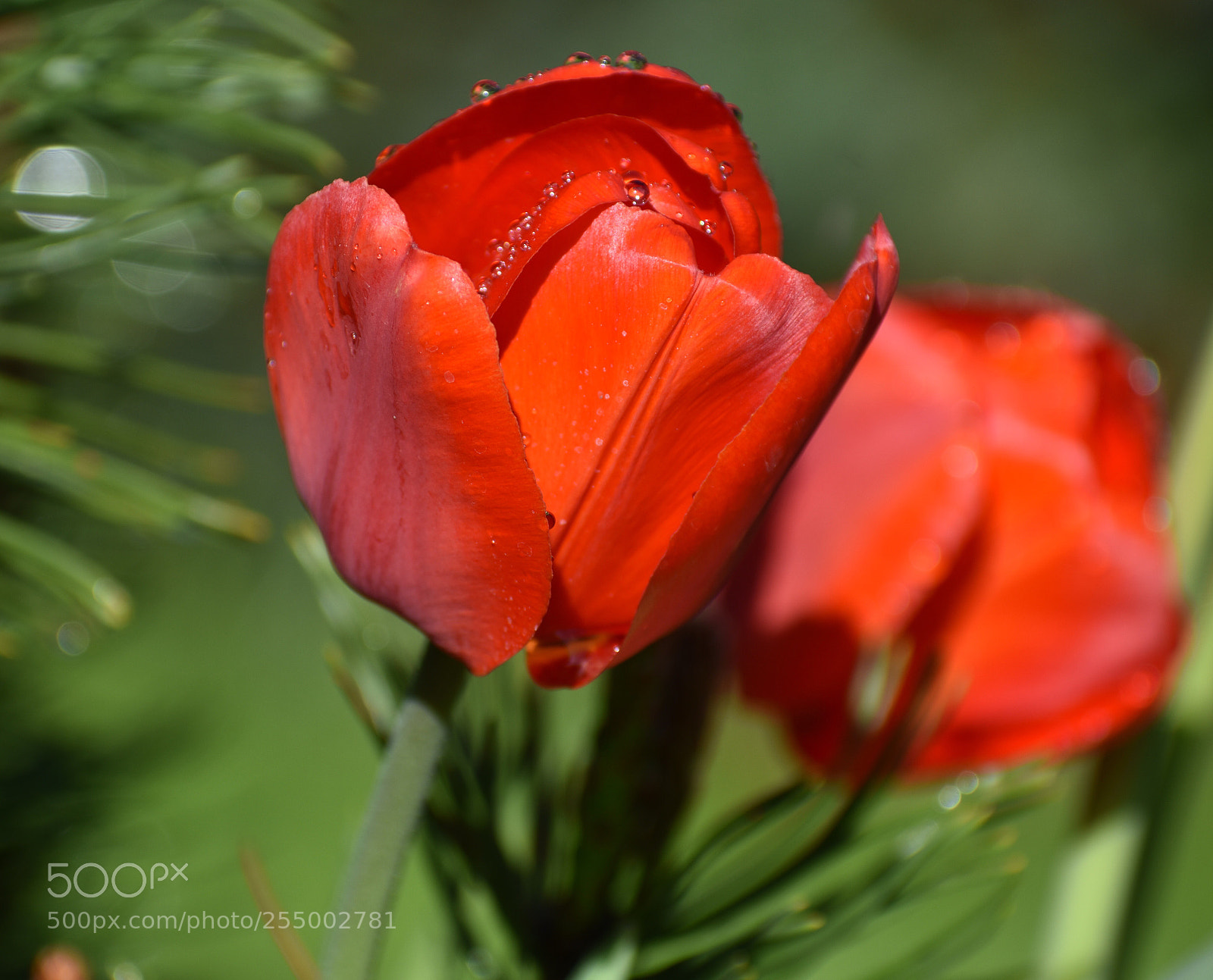 Nikon D3400 sample photo. Untitled photography