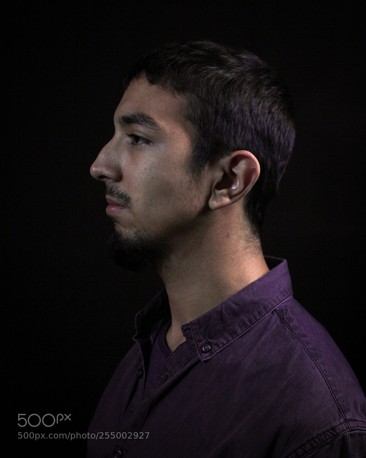 Canon EOS 550D (EOS Rebel T2i / EOS Kiss X4) sample photo. Dani perfil izq pm photography