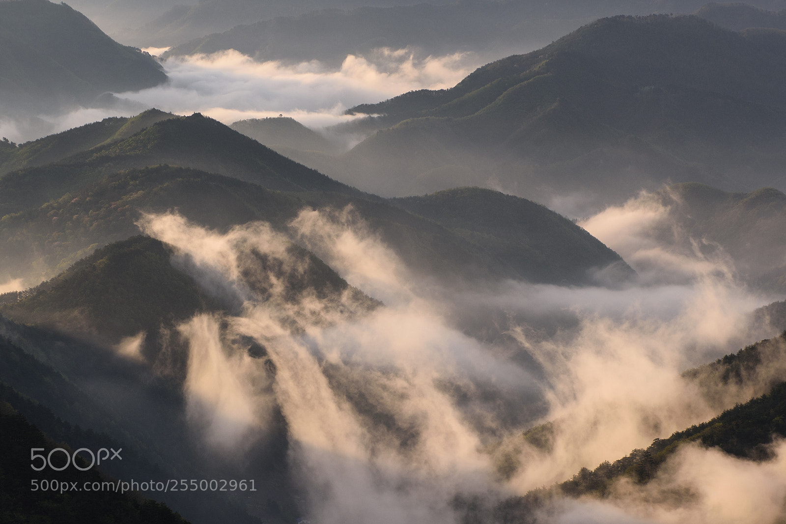 Nikon D810 sample photo. Samcheok, south korea photography