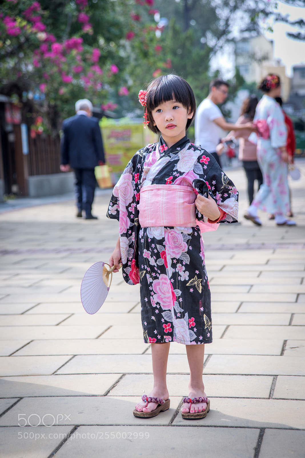 Nikon D810 sample photo. 嘉義檜意生活村 photography