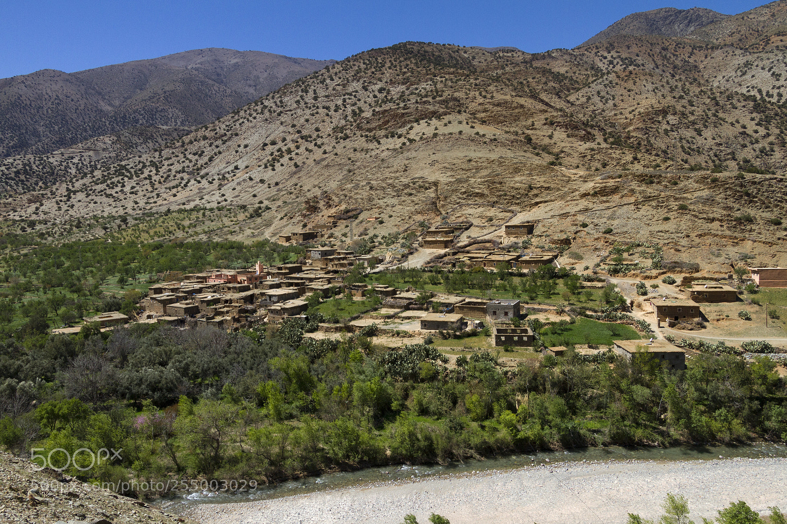 Canon EOS 7D sample photo. 2018-3749.jpg photography