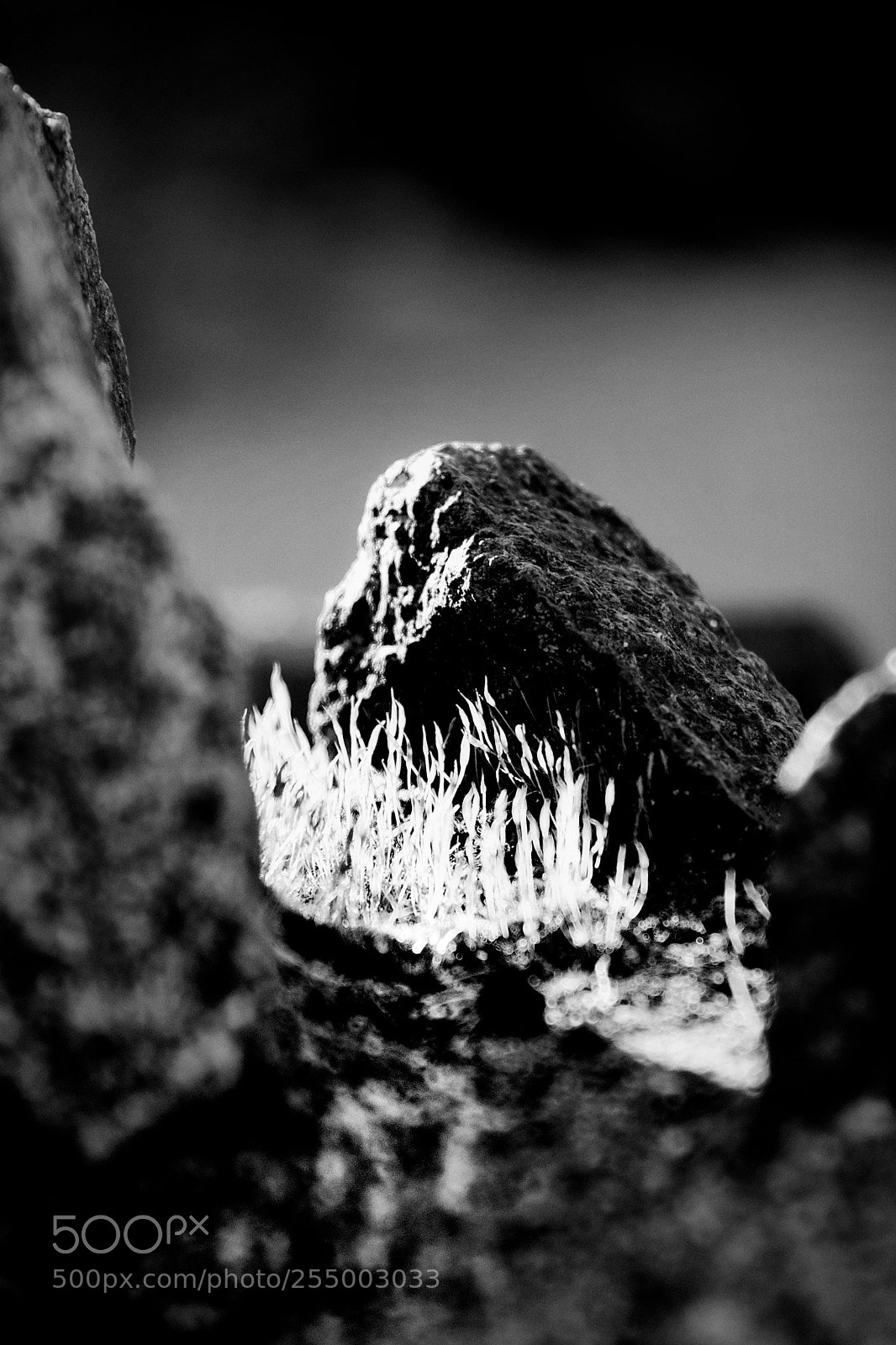 Canon EOS 70D sample photo. Unknown valley photography