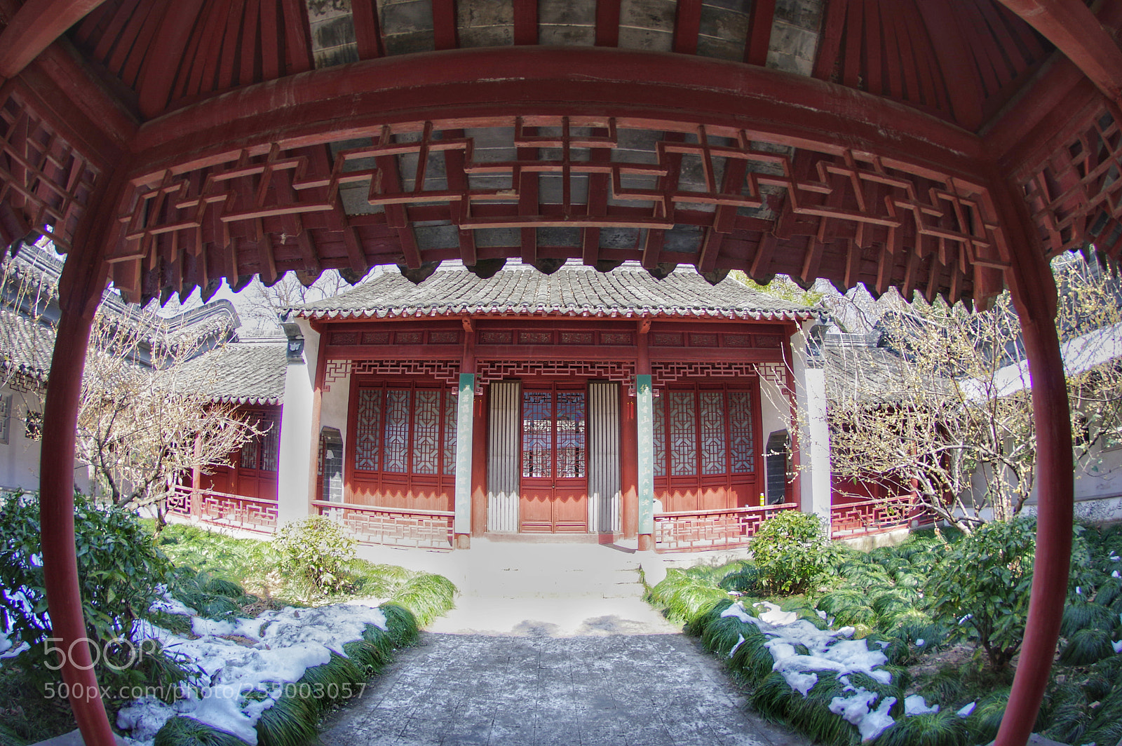 Pentax K-3 II sample photo. Untitled photography