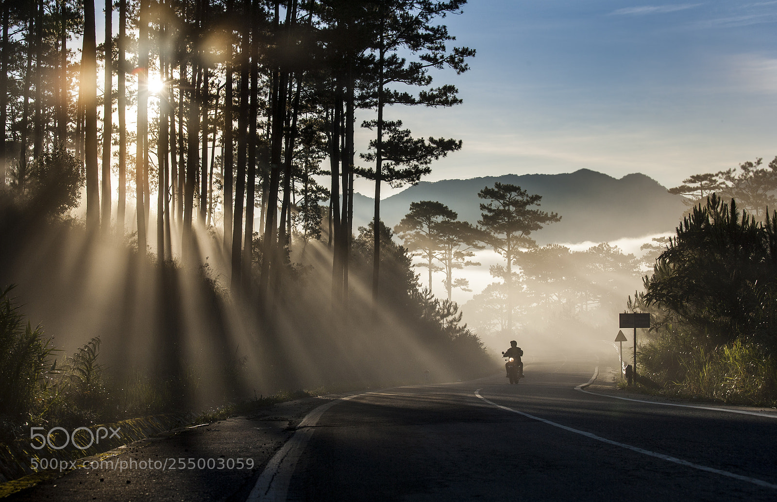 Canon EOS-1Ds Mark II sample photo. 12312.jpg photography