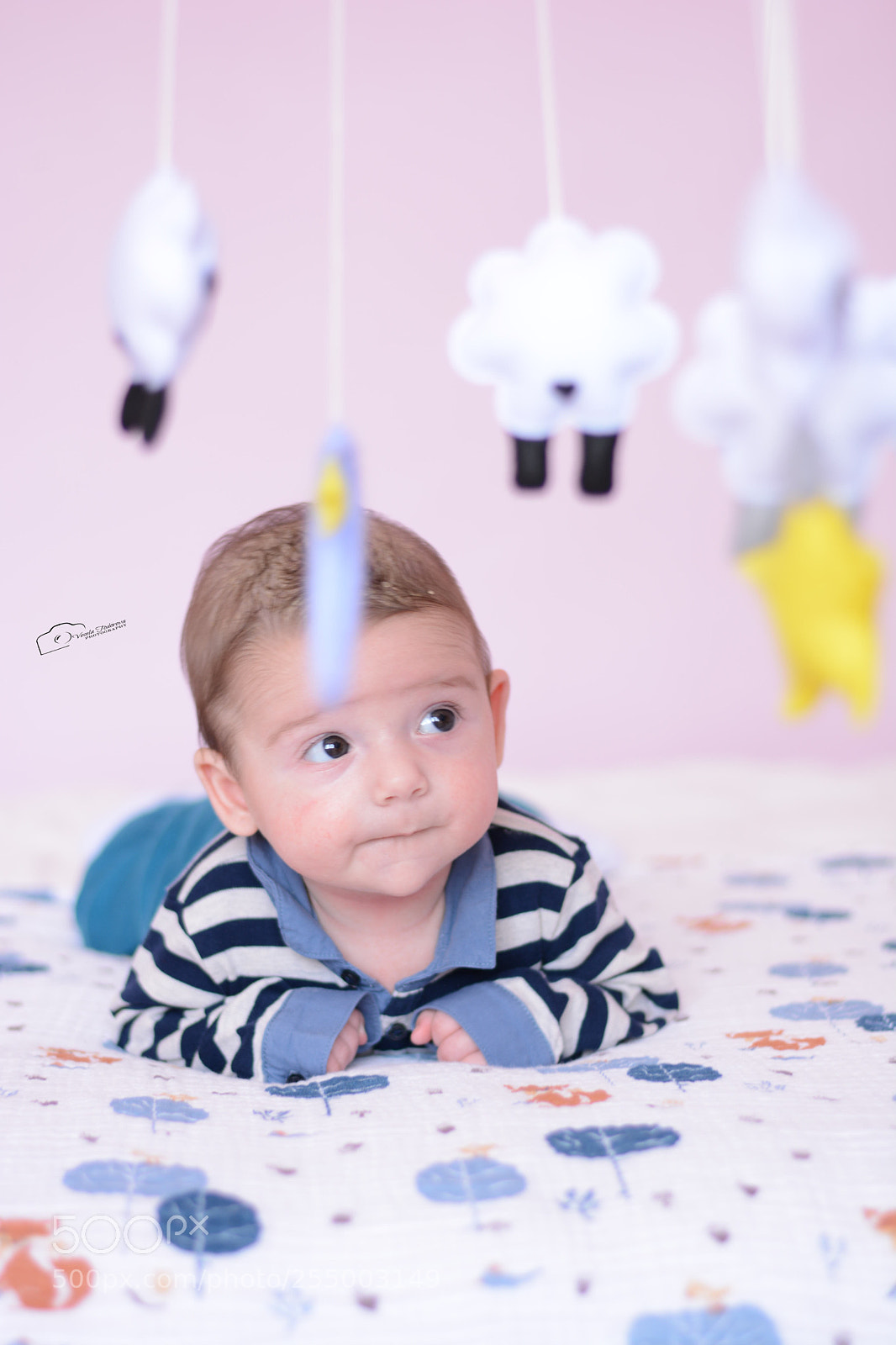 Nikon D7100 sample photo. * photography