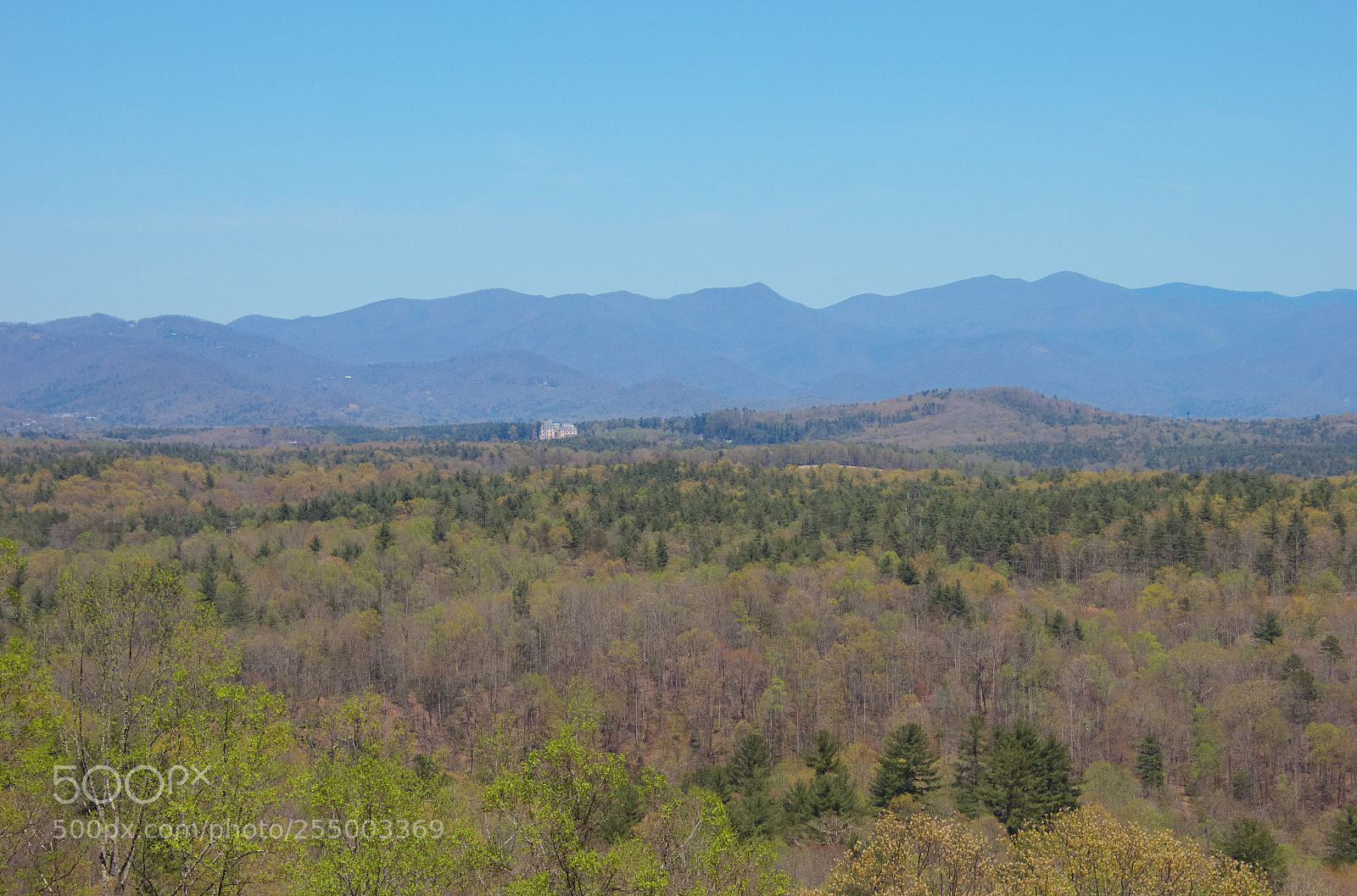 Canon EOS 600D (Rebel EOS T3i / EOS Kiss X5) sample photo. Biltmore house from the photography