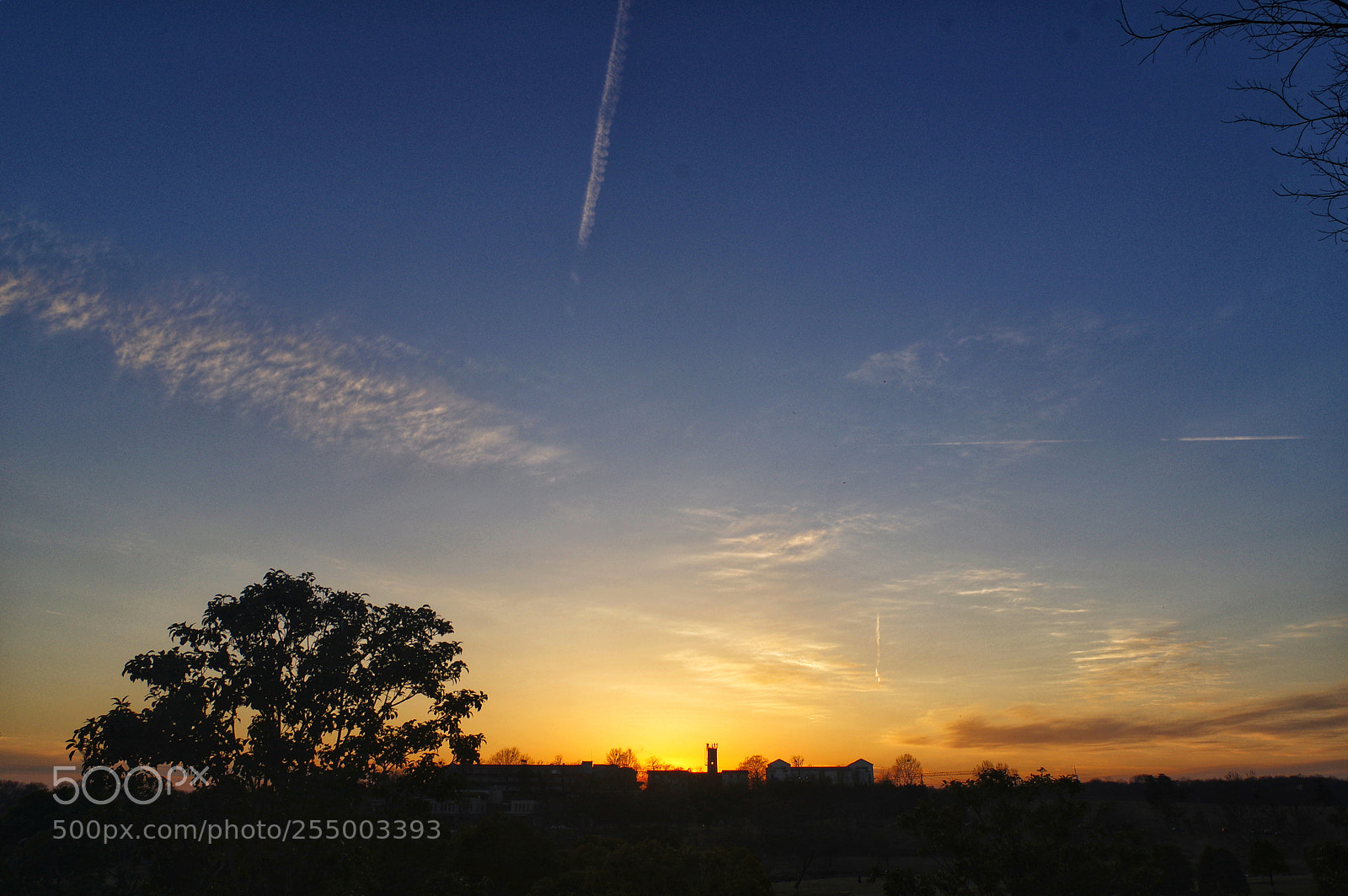 Pentax K-3 II sample photo. Untitled photography