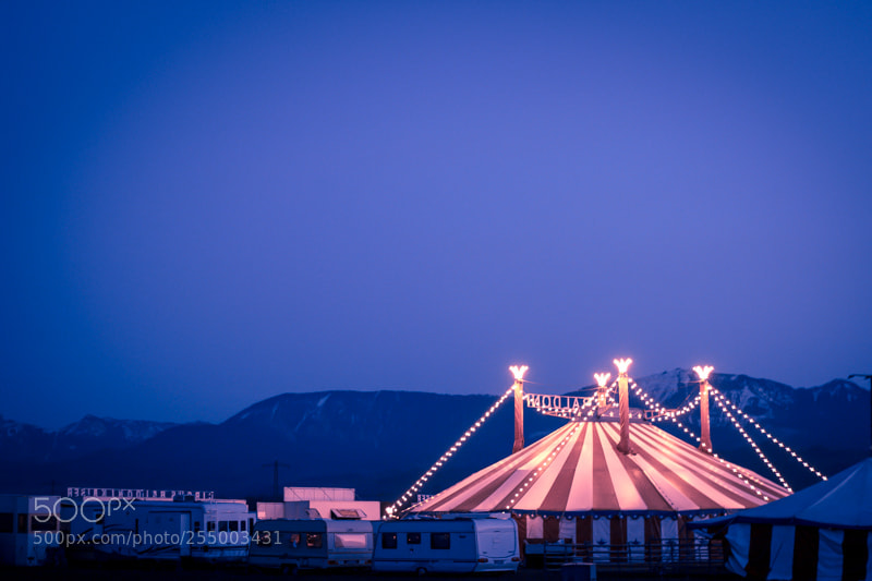 Canon EOS 600D (Rebel EOS T3i / EOS Kiss X5) sample photo. Circus photography