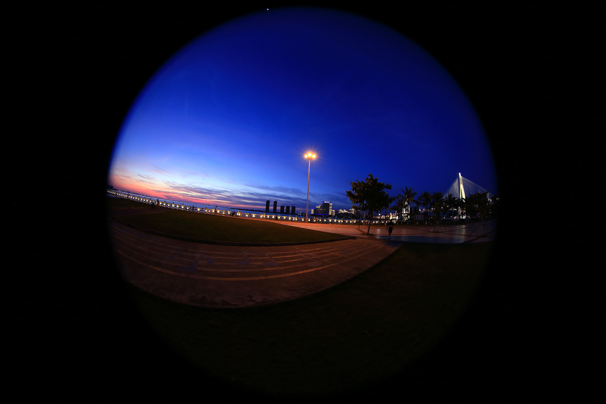 Canon EOS-1D X + Canon EF 8-15mm F4L Fisheye USM sample photo. 副本 photography