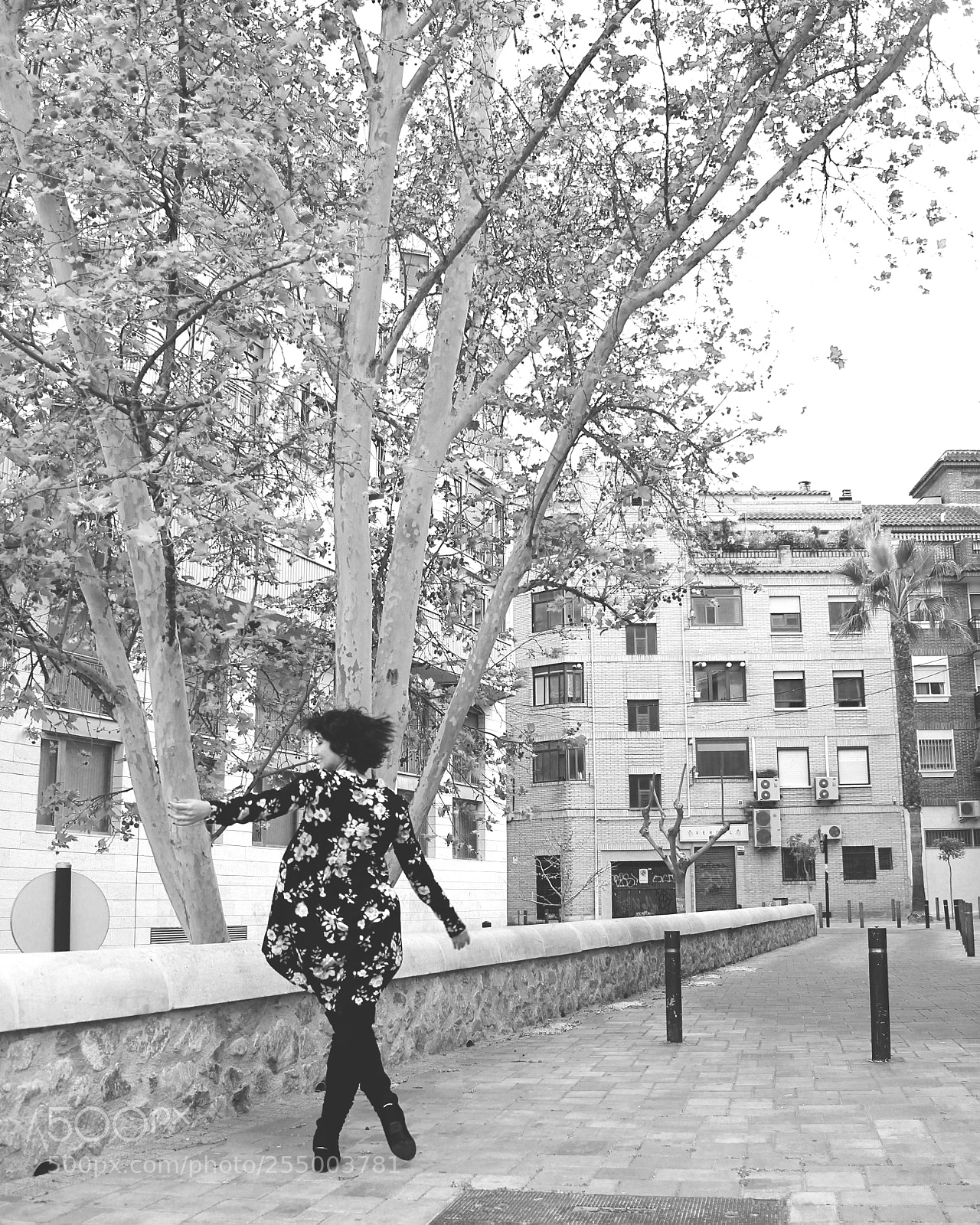 Canon EOS 550D (EOS Rebel T2i / EOS Kiss X4) sample photo. Patri b&n photography