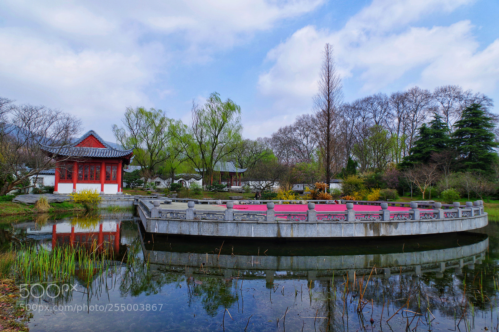 Pentax K-3 II sample photo. Untitled photography