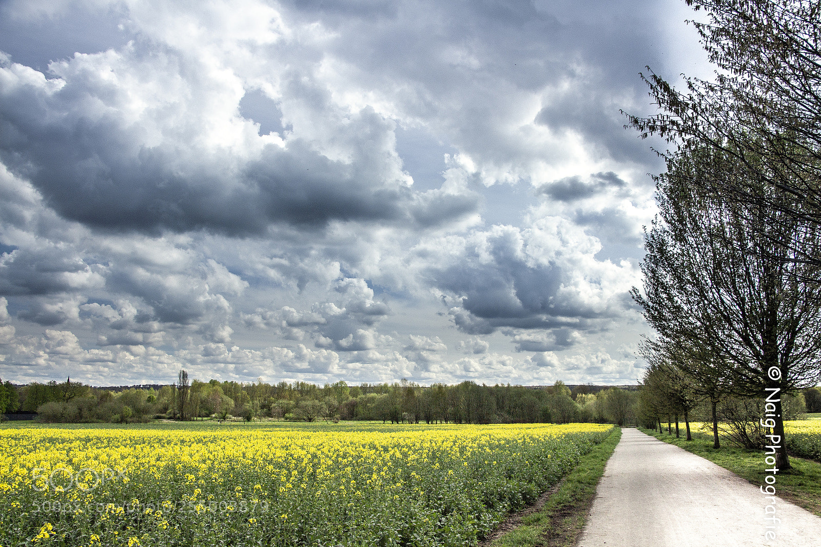 Canon EOS 650D (EOS Rebel T4i / EOS Kiss X6i) sample photo. Spaziergang im feld photography