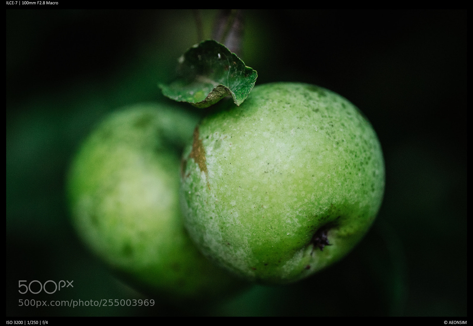 Sony a7 sample photo. Autumn apples photography