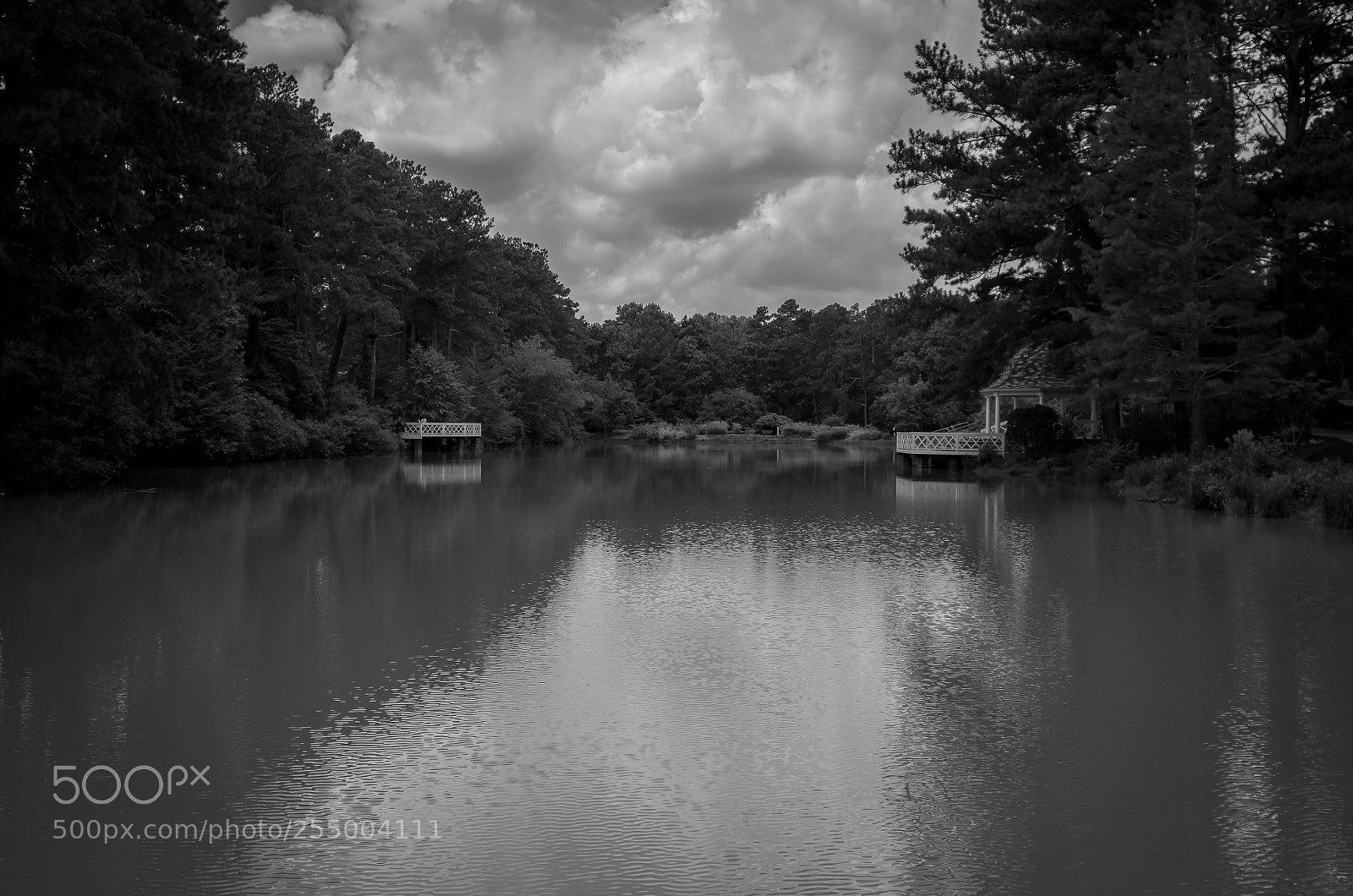 Nikon D7000 sample photo. Park photography