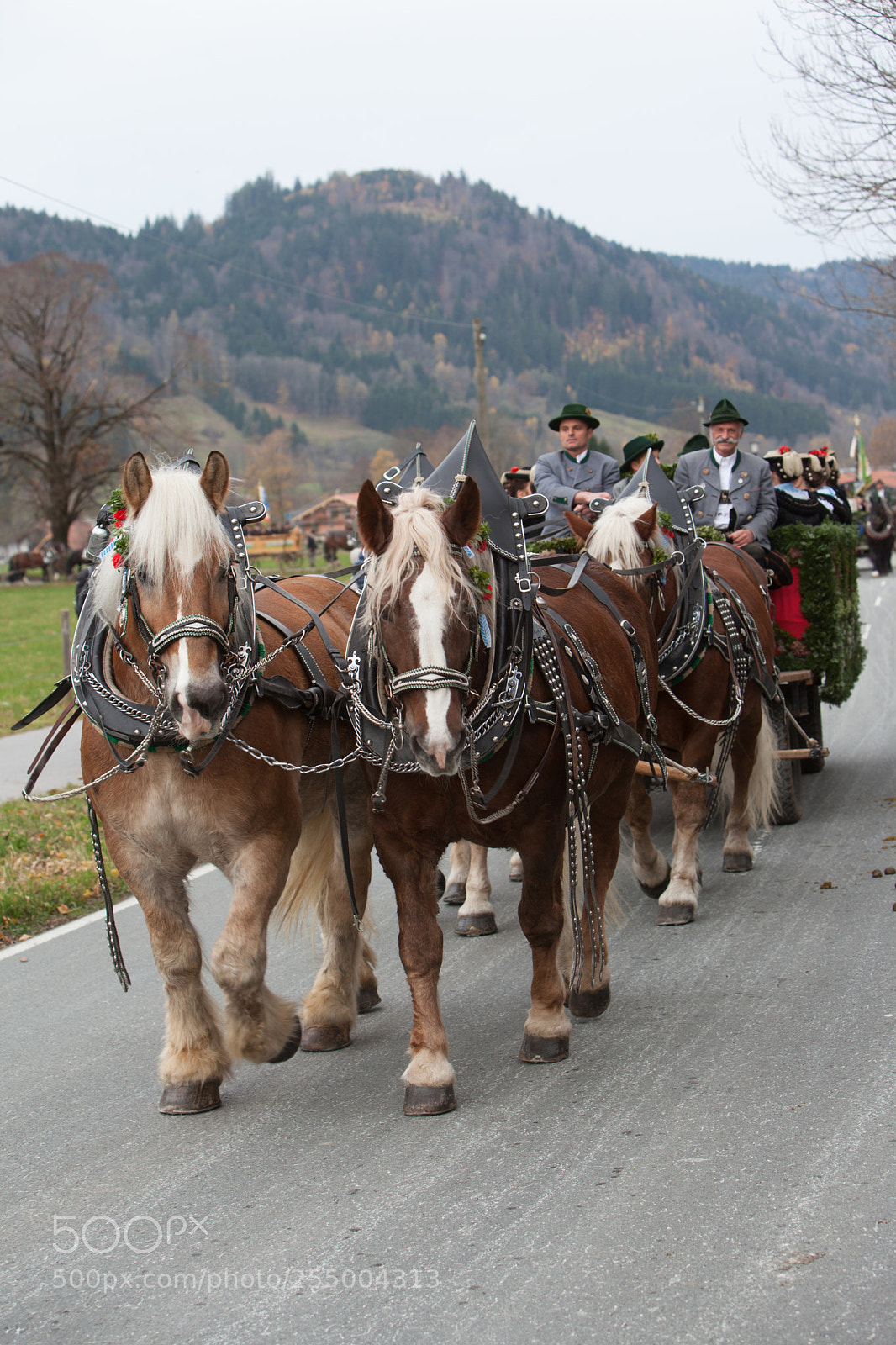 Canon EOS 5D Mark II sample photo. Schliersee, germany, bavaria 05.11.2017 photography