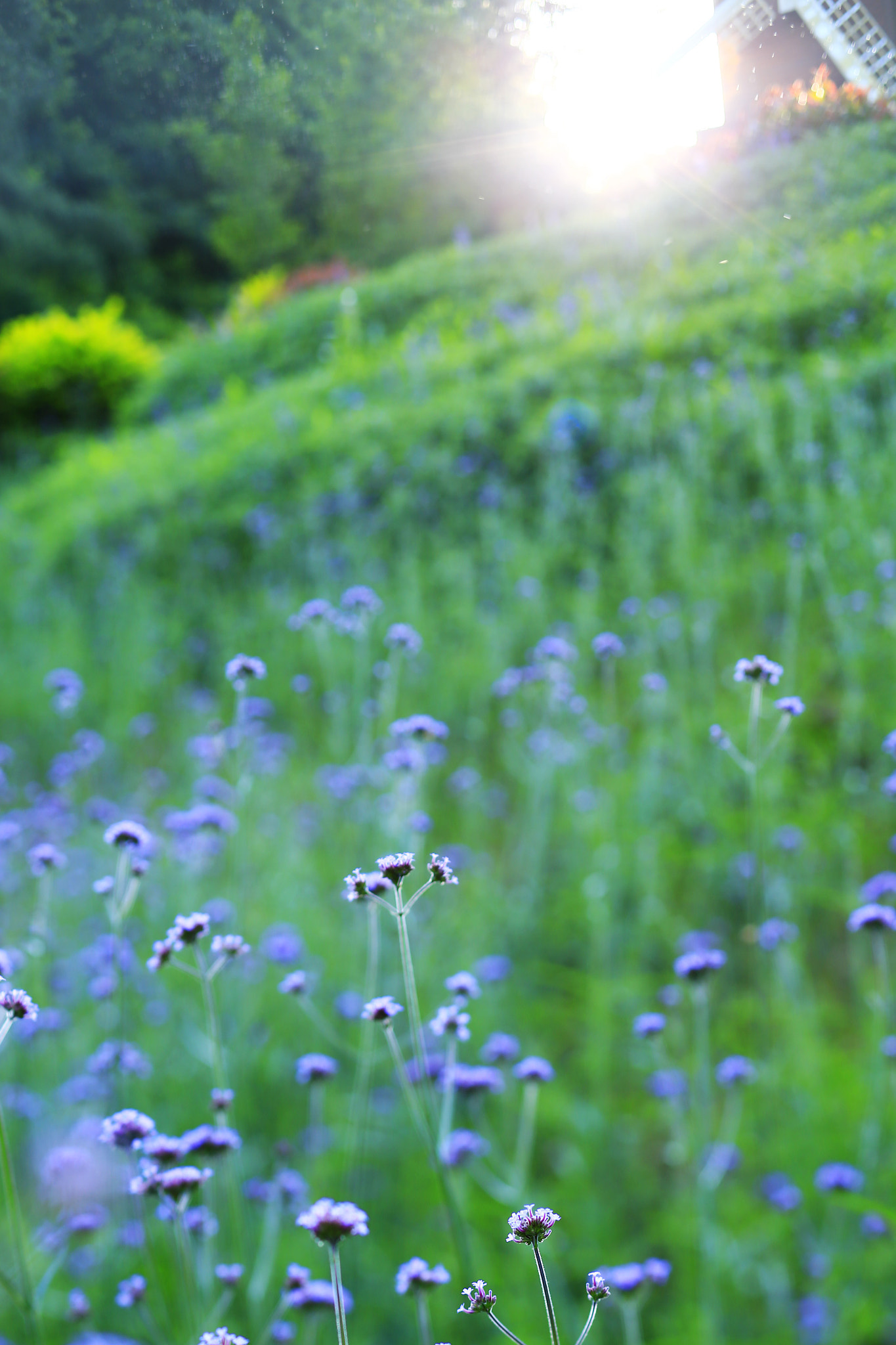 Canon TS-E 90mm F2.8 Tilt-Shift sample photo. 副本 photography