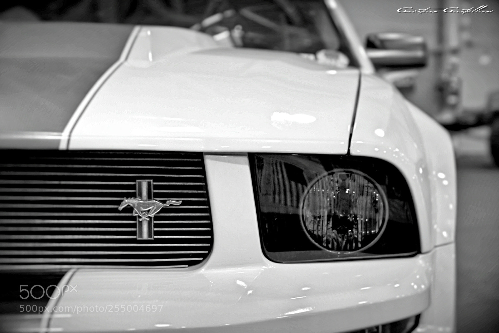 Nikon D3300 sample photo. Gt500 photography