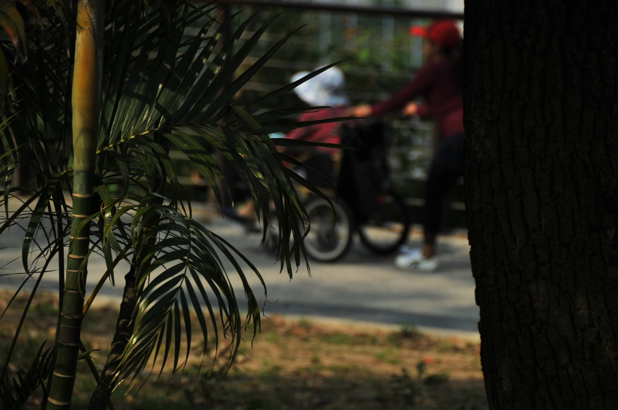 Nikon D3S sample photo. .. photography