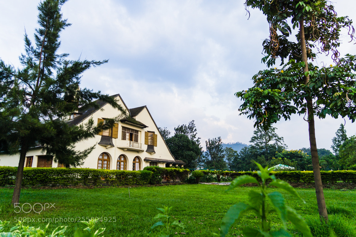 Sony a5100 sample photo. Nyiragongo (drc & rwanda) photography
