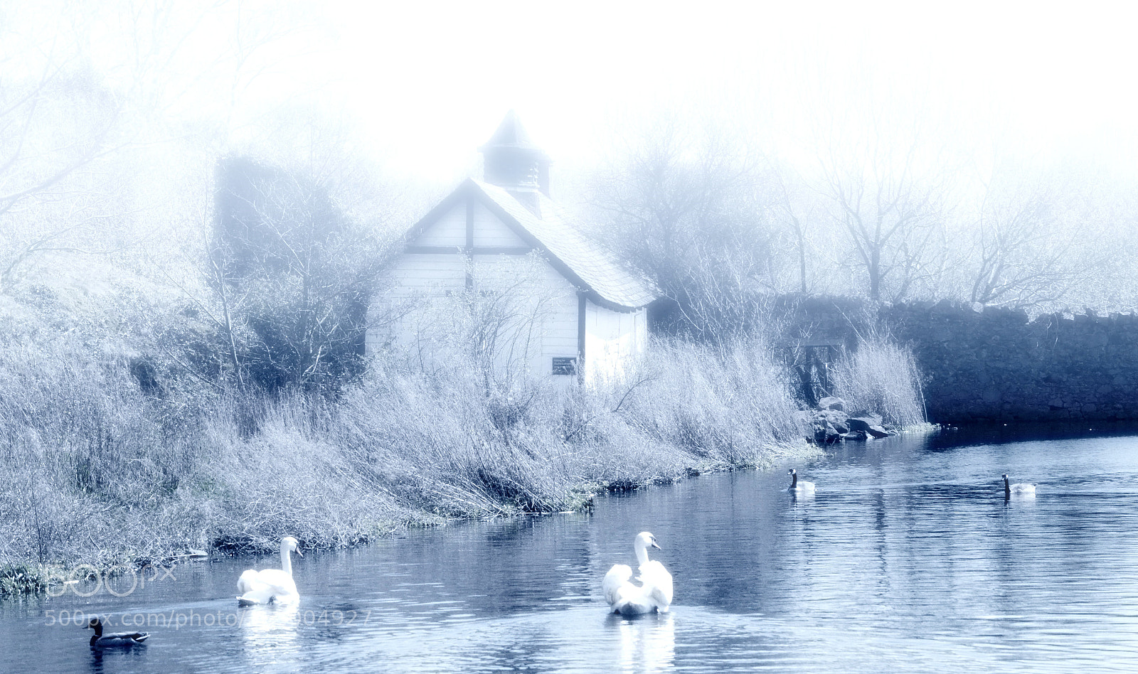 Nikon D7000 sample photo. April morning photography