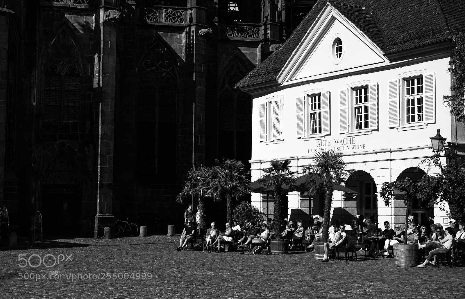 Fujifilm X-T1 sample photo. Untitled photography