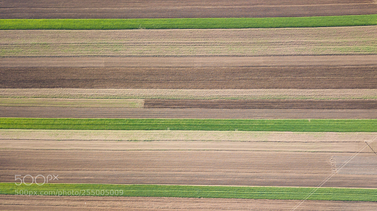 DJI FC220 sample photo. Spring patterns photography