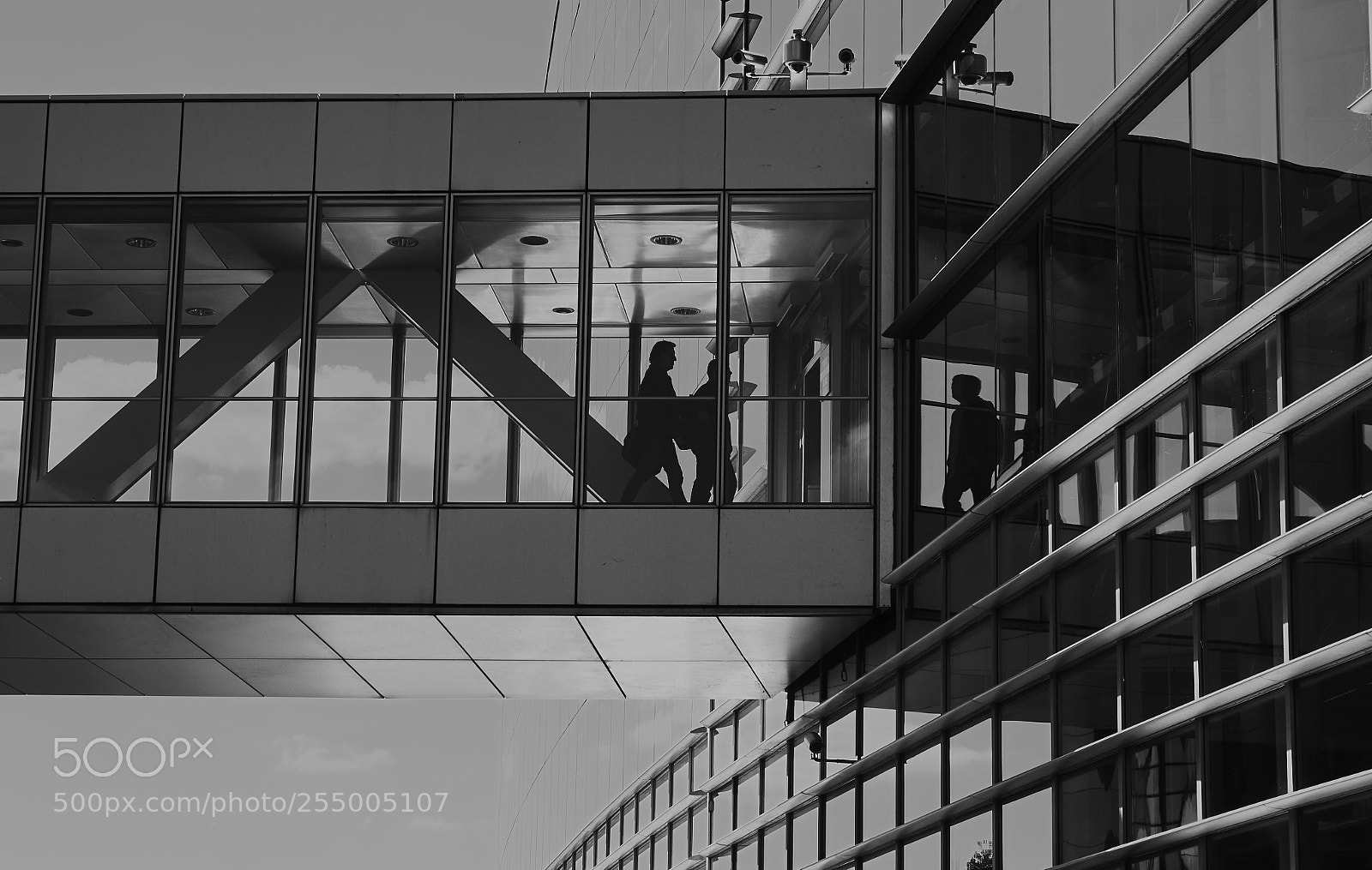 Fujifilm X-T1 sample photo. Untitled photography