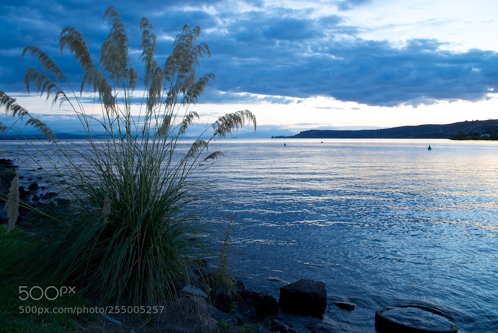 Nikon D600 sample photo. Lake taupo sunset and photography