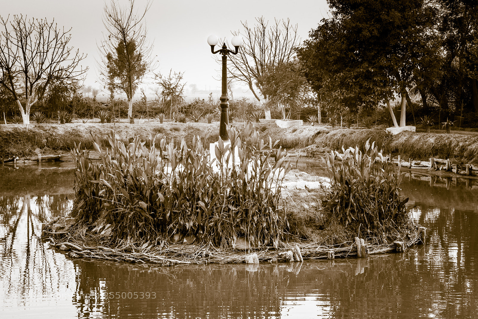 Nikon D5200 sample photo. A tryst of forgotten photography